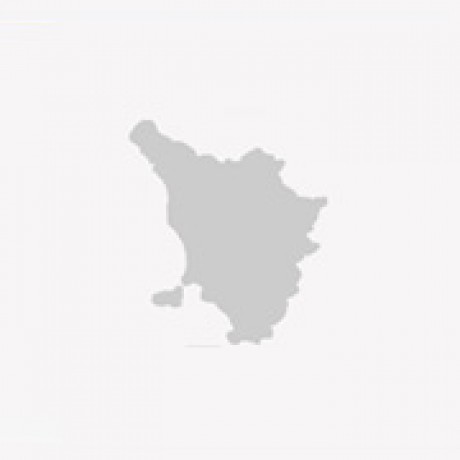 Logo del gruppo di Toscana
